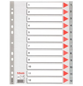 Index din plastic (PP) index 1-12 A4 Esselte