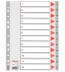 Index din plastic (PP) index 1-12 A4 Esselte